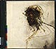 Peter Gabriel / Passion (NM/NM) CD [07][08][DSG]