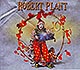 Robert Plant / Band Of Joy (digipack) (NM/NM) CD [16] [DSG]