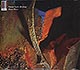 Nusrat Khan & Michael Brook / Must Must (digipack) (sealed) (NM/NM) CD [01][DSG]