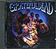 Grateful Dead / Built To Last (NM/NM) CD [R2][DSG]