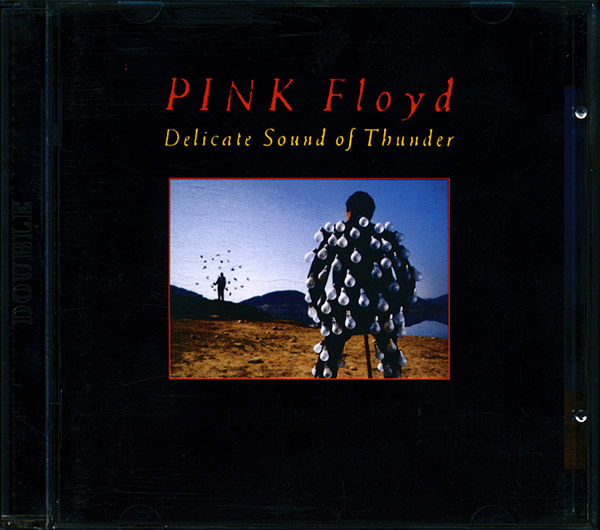 Pink Floyd / Delicate Sound Of Thunder (NM/NM) CD (bkl)