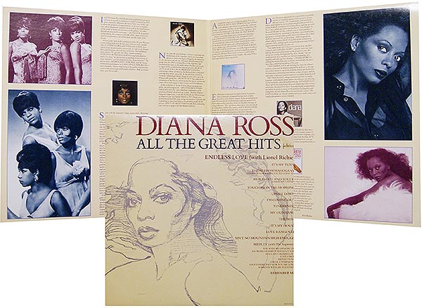 Diana Ross / All The Great Hits / 2LP gatefold [A3]