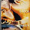 Peter Gabriel / Shock The Monkey 12