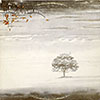 Genesis / Wind & Wuthering / with insert / ATCO SD 36144 [B4]